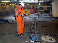 Figure 11: Certified Industrial Hygienist (CIH)