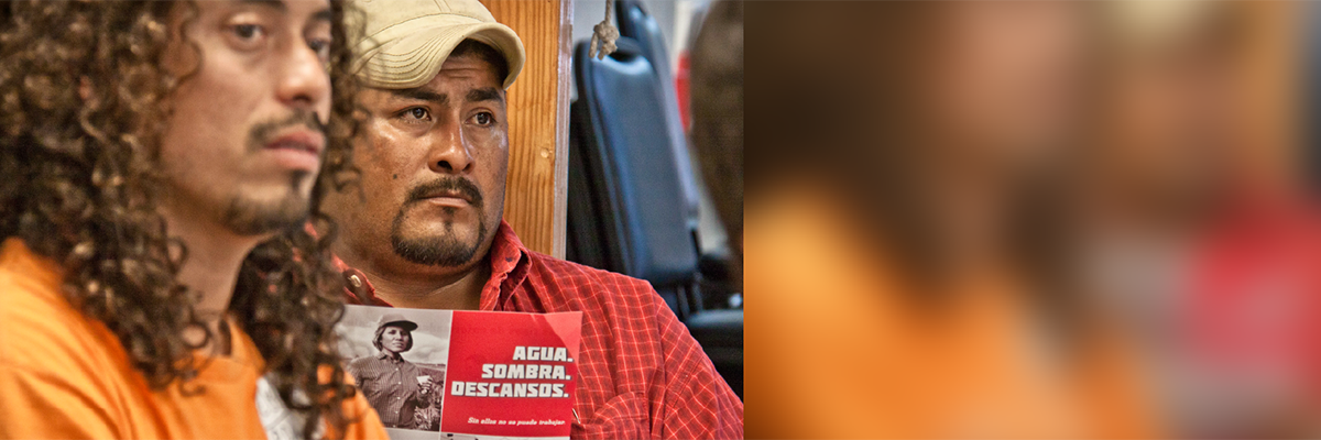 Employees at a safety training