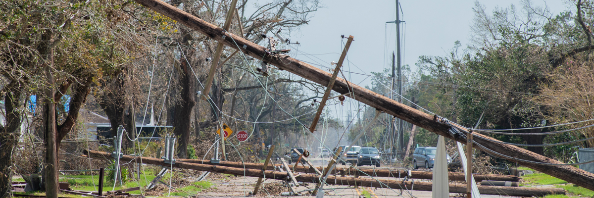 Photo of a road with fallen trees blocking the roadway