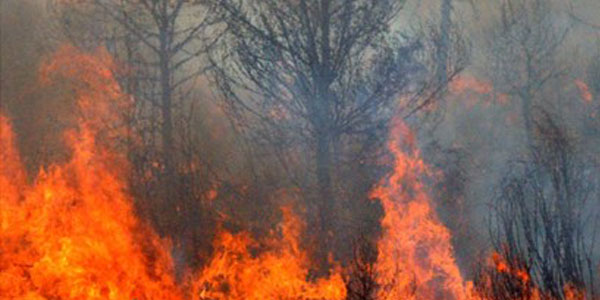 See Oregon OSHA’s new resources for protecting workers against wildfire smoke.