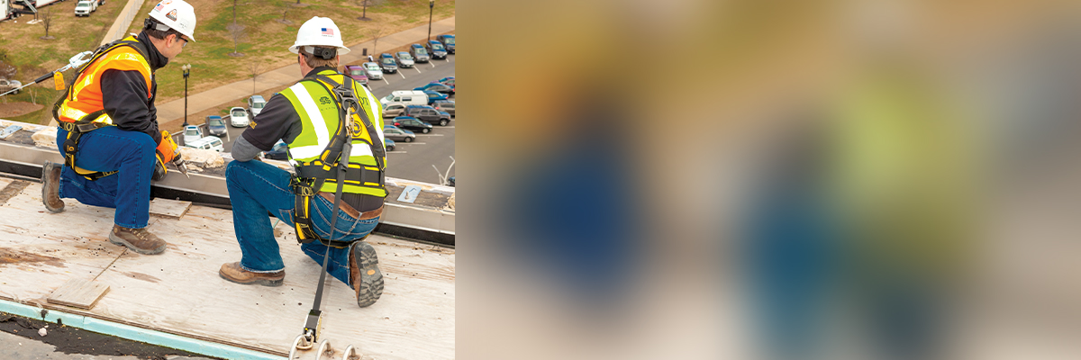 Workers in fall safety gear on roof
