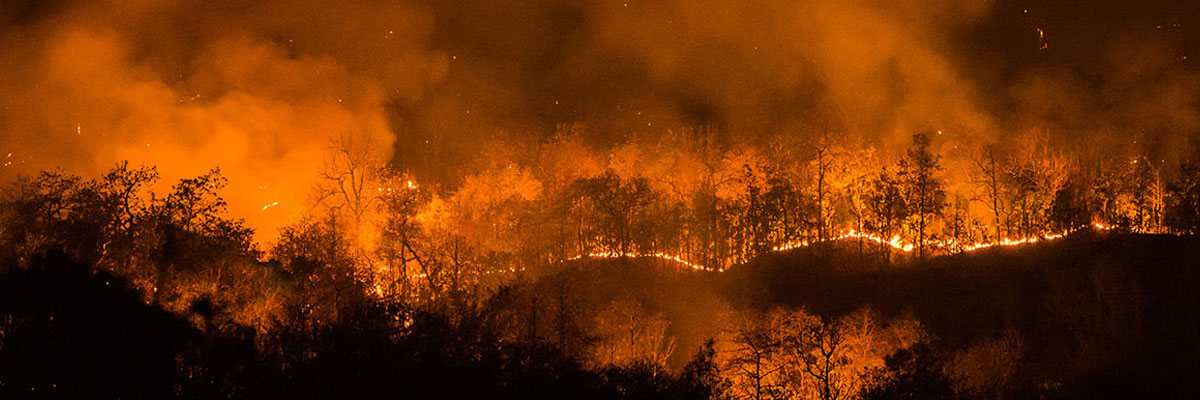Wildfires