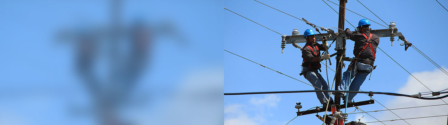 Electrical workers attached to utility pole