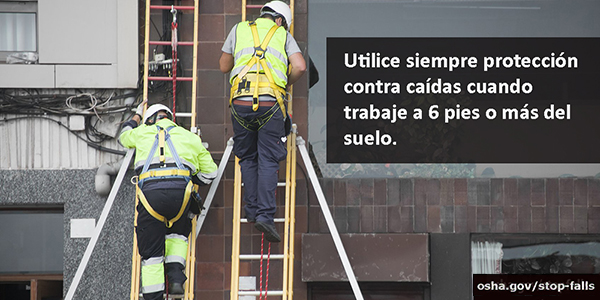Utilice siempre protección contra caídas cuando trabaje a 6 pies o mas de suelo.