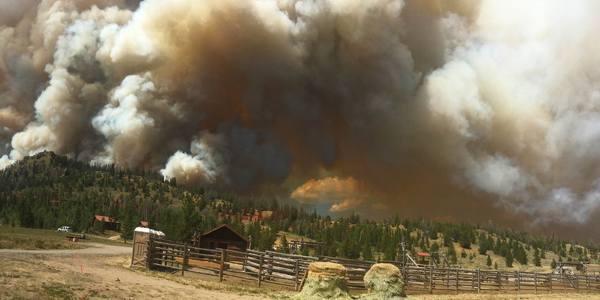 Incendios Forestales