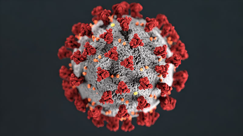 Communicable and Environmental Diseases