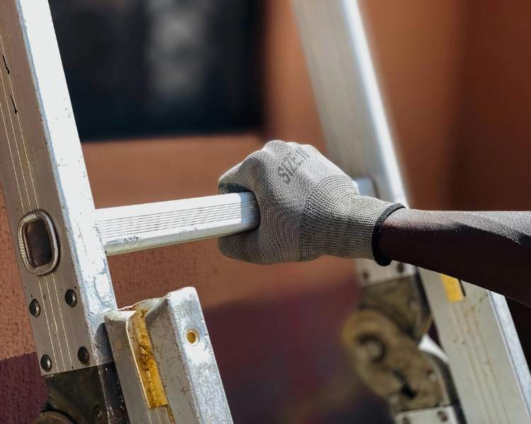 Worker holding ladder
