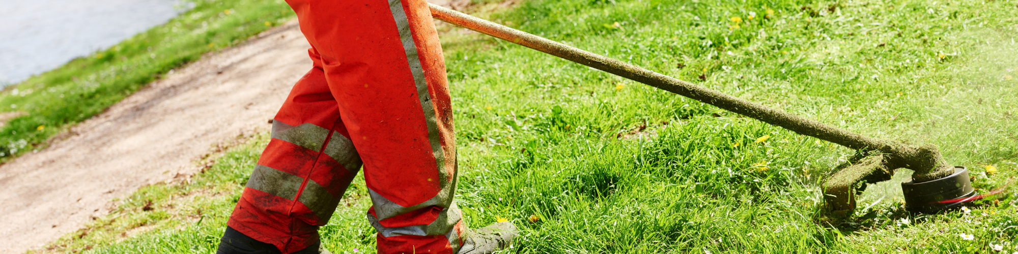 Lawn Care