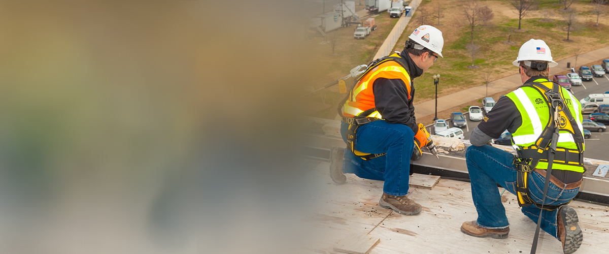 construction workers, wearing harnesses, working on a roof