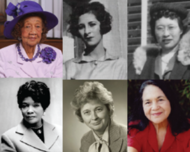 Women Labor Leader Picture Collage