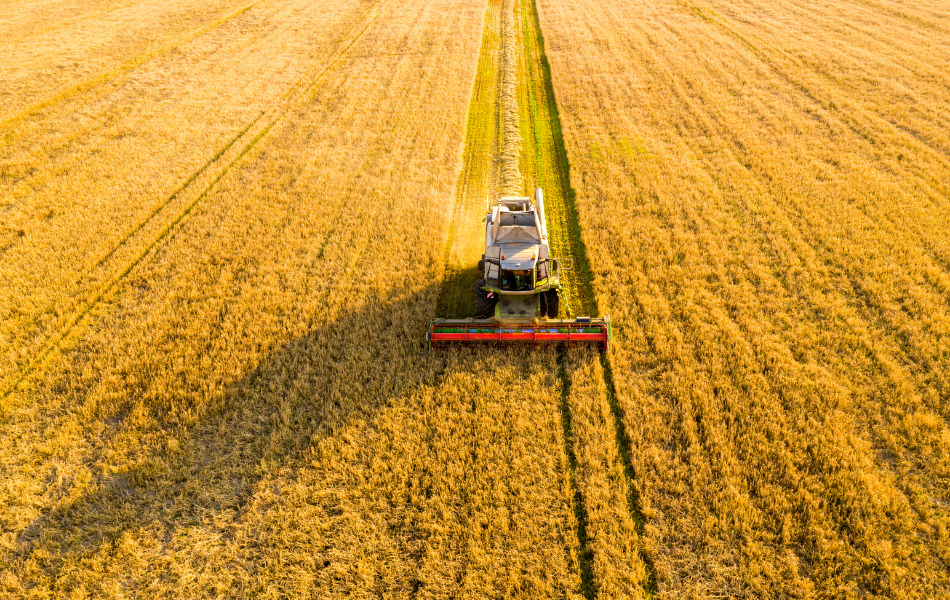 Agricultural work