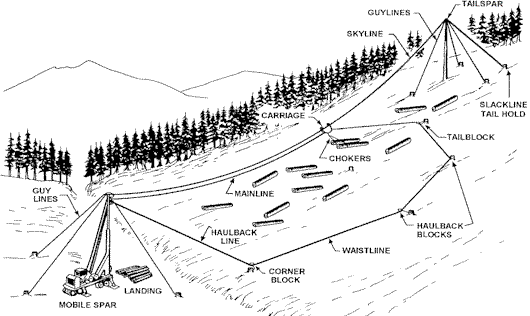 Slack Line System
