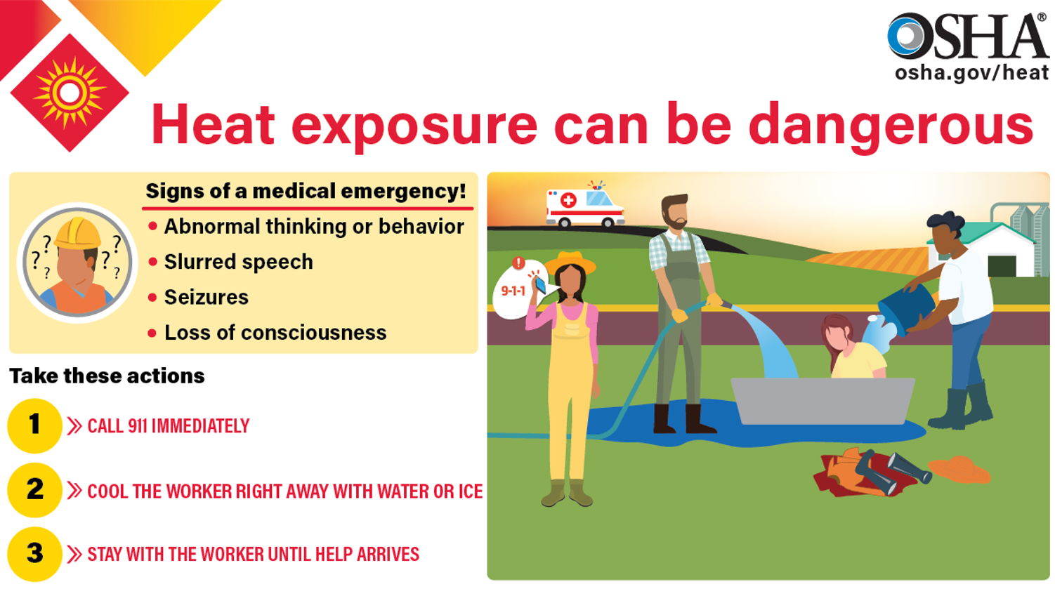 Heat Illness Medical Emergency infographic in English