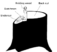 barber chair tree meaning