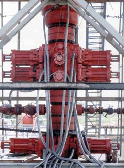 Figure 1. Blowout preventer stack (BOP)