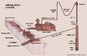 Figure 2. Schematic of the circulating system