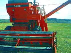 Grain Combine