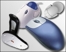 Pointer/Mouse
