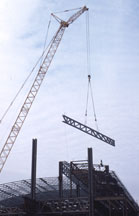 Cranes
