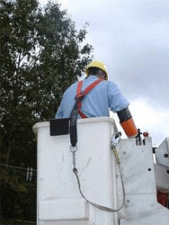 Fall protection: body harness and lanyard connected to anchor point