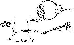 eTool : Logging - Manual Operations - Felling Trees - Making the Cuts -  Special Techniques for Felling Difficult Trees