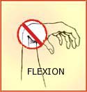 Lower Arm, Hands, and Wrist