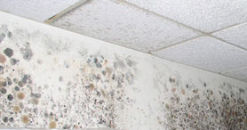 Photo courtesy of OSHA. This picture shows actual disaster site work conditions and may not illustrate proper safety and health procedures.