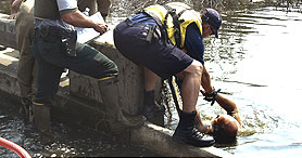 Photo courtesy of FEMA. This picture shows actual disaster site work conditions and may not illustrate proper safety and health procedures.