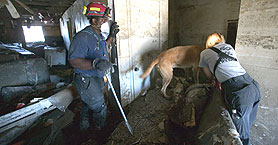 Photo courtesy of FEMA. This picture shows actual disaster site work conditions and may not illustrate proper safety and health procedures.
