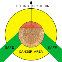 eTool : Logging - Manual Operations - Felling Trees - Retreat Path