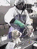 Cutting & Deboning