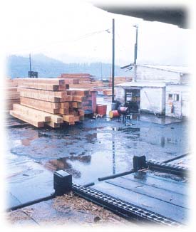 Sawmill
