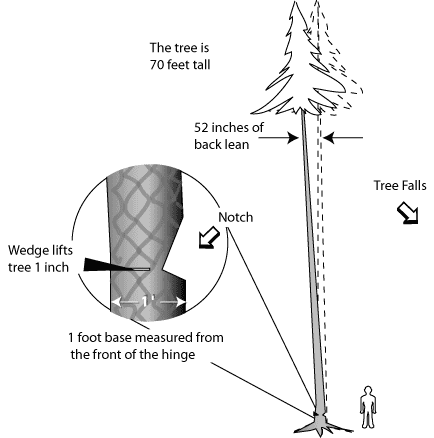 Lean Diagram