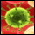 Viral Hemorrhagic Fevers (VHFs)
