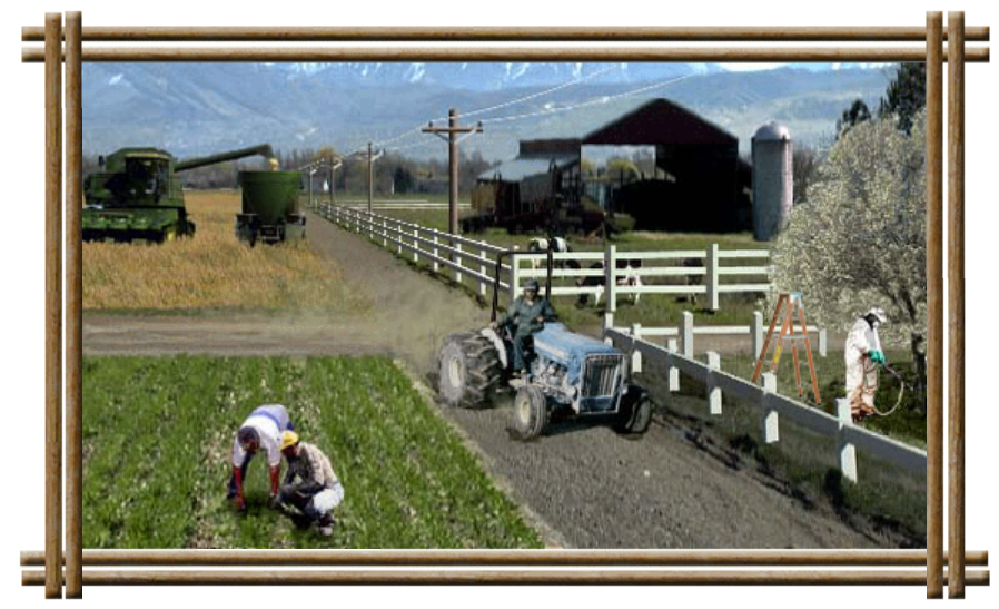 Farming Simulator 23 - National Geographic Kids