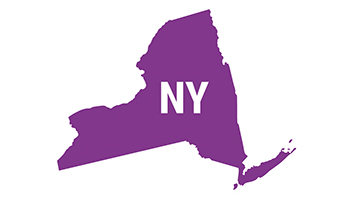 New York state icon
