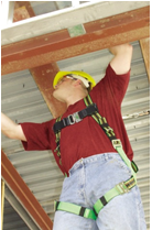 Body Harness