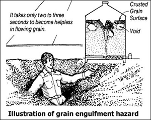 Illustration of grain engulfment hazard, It takes only two to three seconds to become helpless in flowing grain, Crusted grain surface, Void Illustration of grain engulfment hazard, It takes only two to three seconds to become helpless in flowing grain, Crusted grain surface, Void