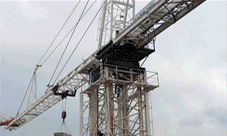 Cranes and Derricks