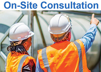 On-Site Consultation