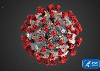 Illustration of a coronavirus