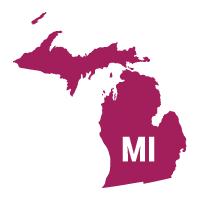 Michigan state icon