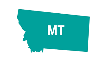 Montana state icon