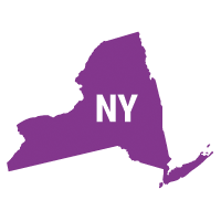 New York state icon