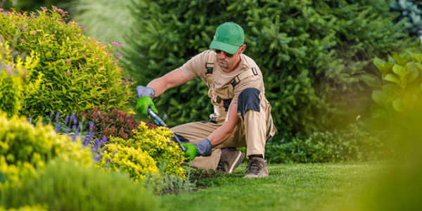 Lawncare and Landscaping Safety