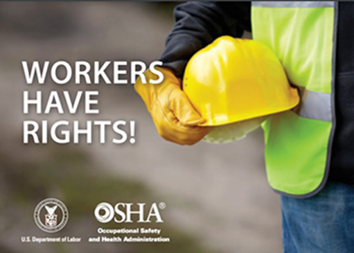 Worker in high-viz vest holding hardhat