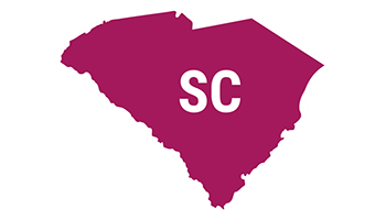 South Carolina state icon