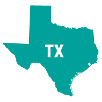 Texas state icon