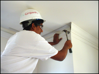 Teen Carpenter
